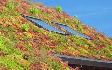 Owslebury living roof systems